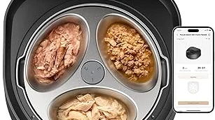 Top 5 best Best Automatic Cat Feeder Wet Foods to buy