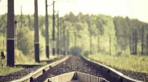 Top 5 best Best Canned Cat Food For Hyperthyroidisms review