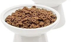 Top 5 best Best Cat Bowlss to buy