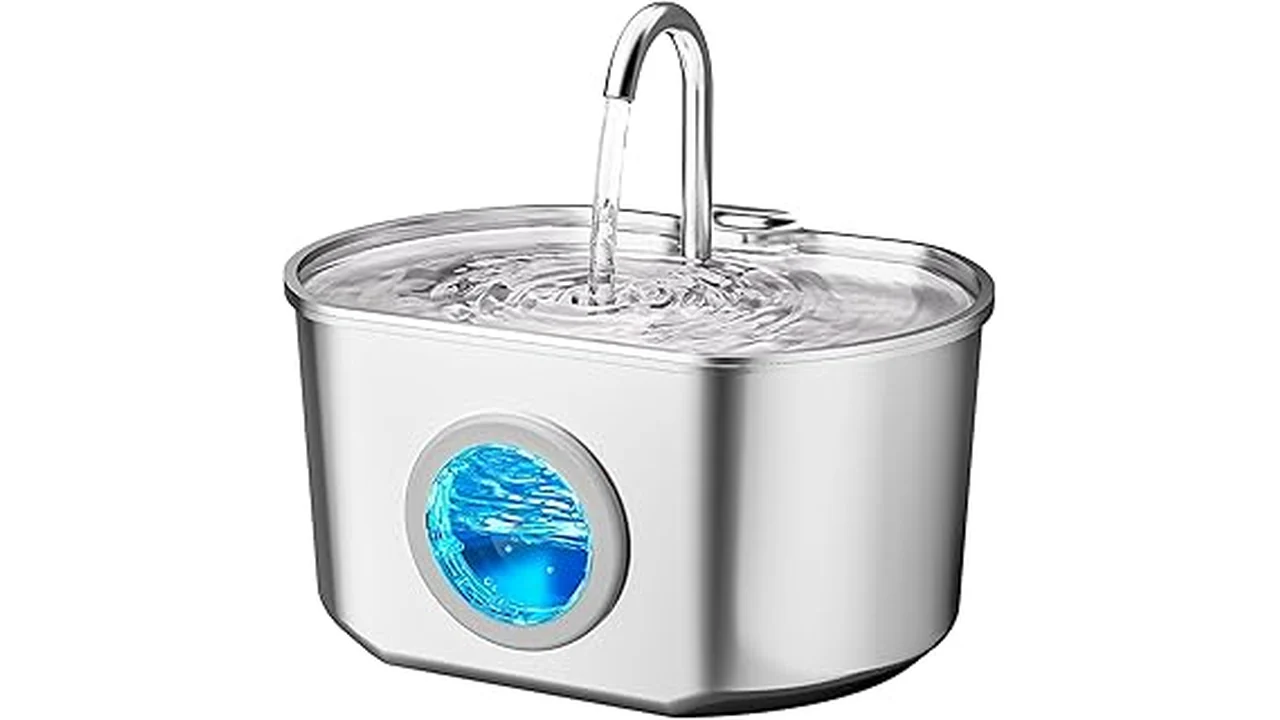 Most Popular 5 Best Cat Water Fountain