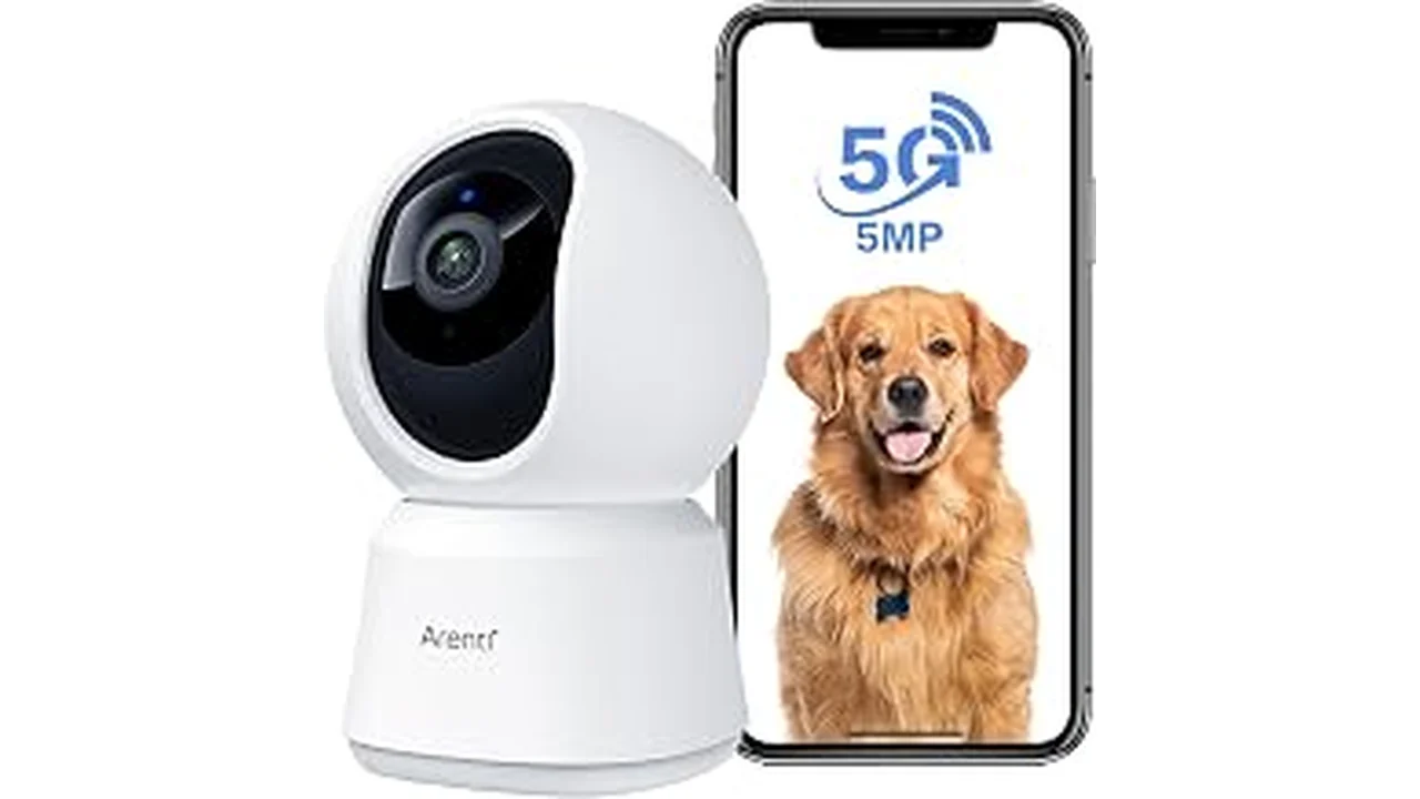 Most Popular 5 Best Cat Camera for Home Without Subscription