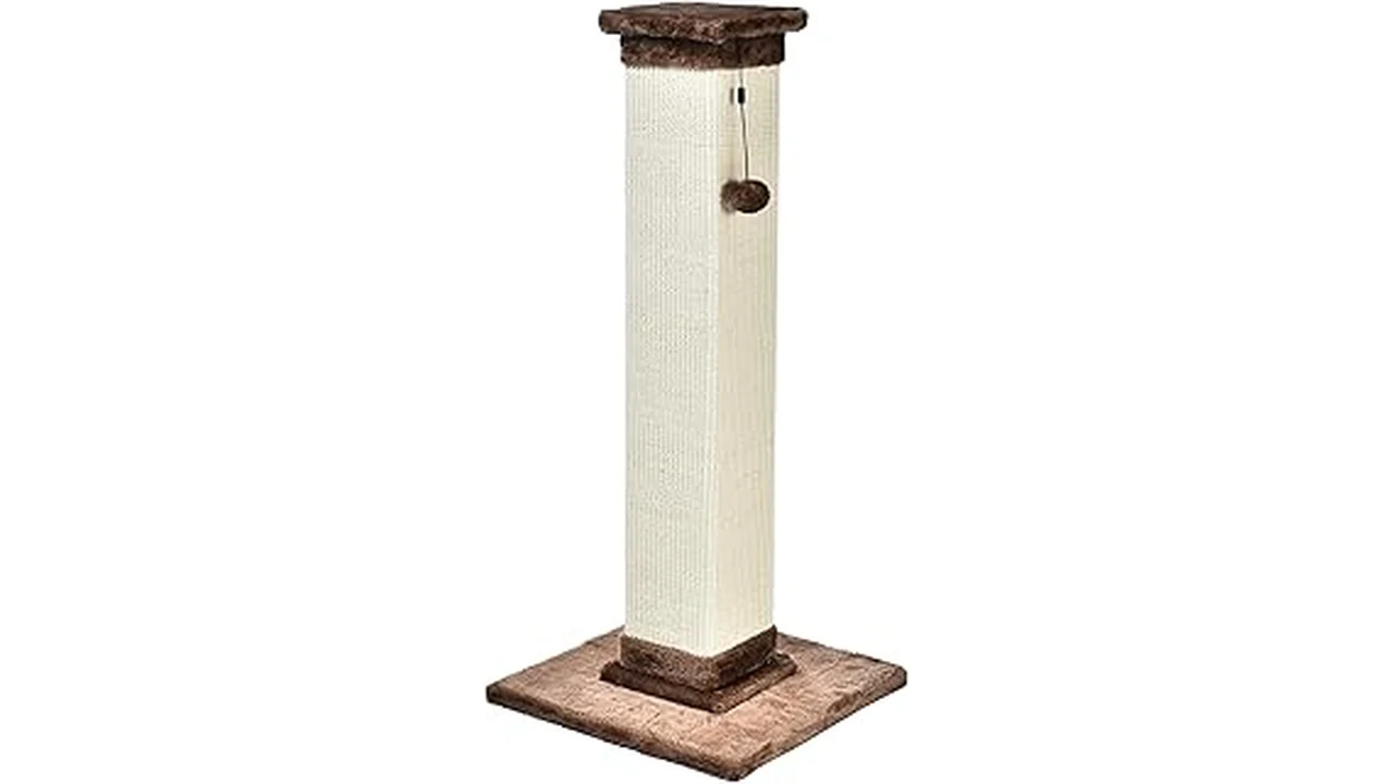 Most Popular 5 Best Cat Scratching Post for Large Cats