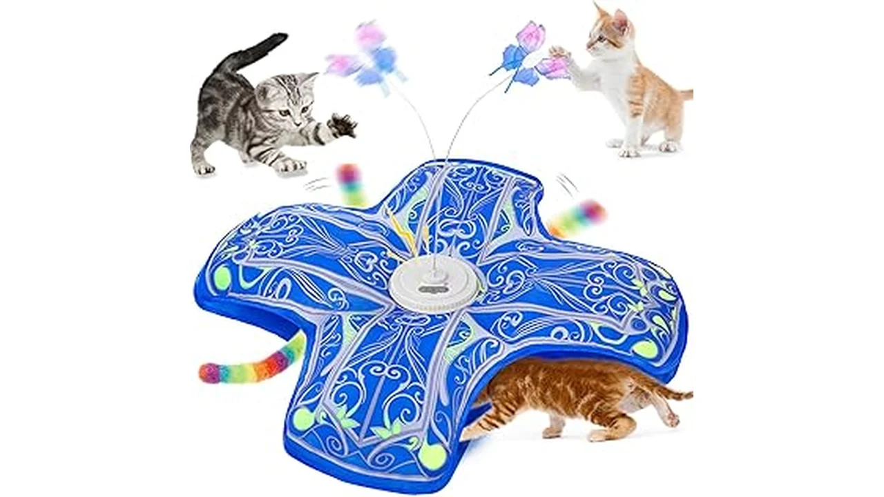 Top 4 Best Cat Toys for Bored Indoor Cats